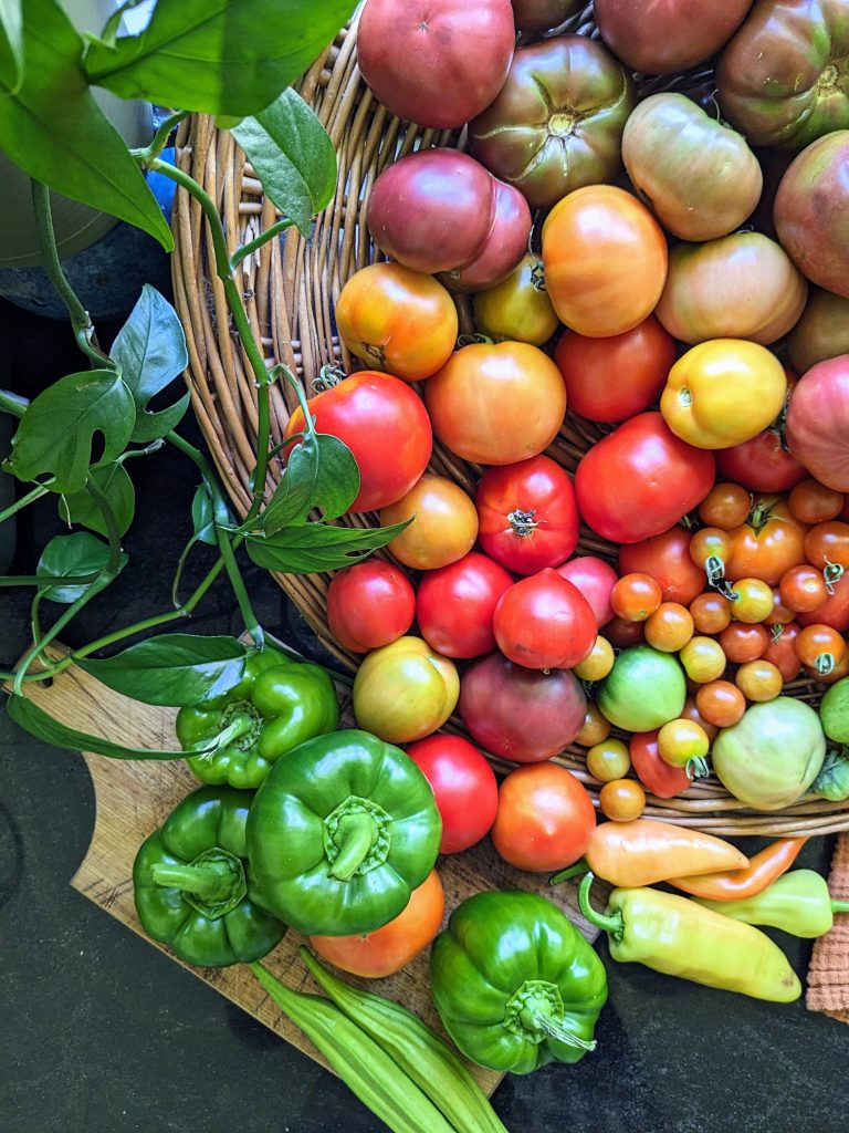 harvest