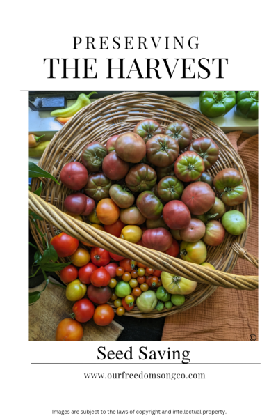 Preserving The Harvest 1